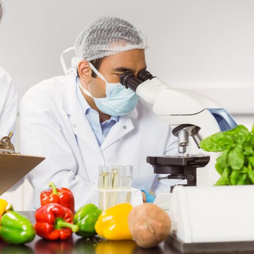 Food Industry