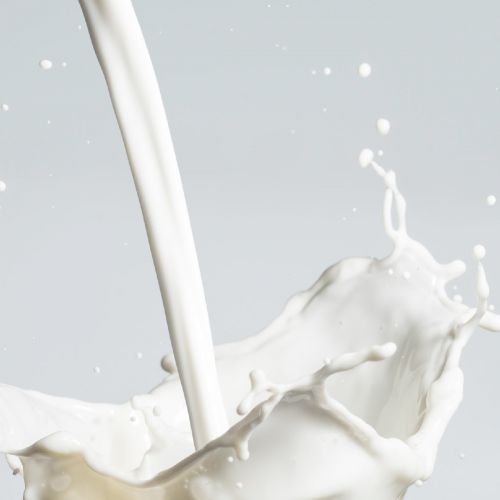 History of the food industry