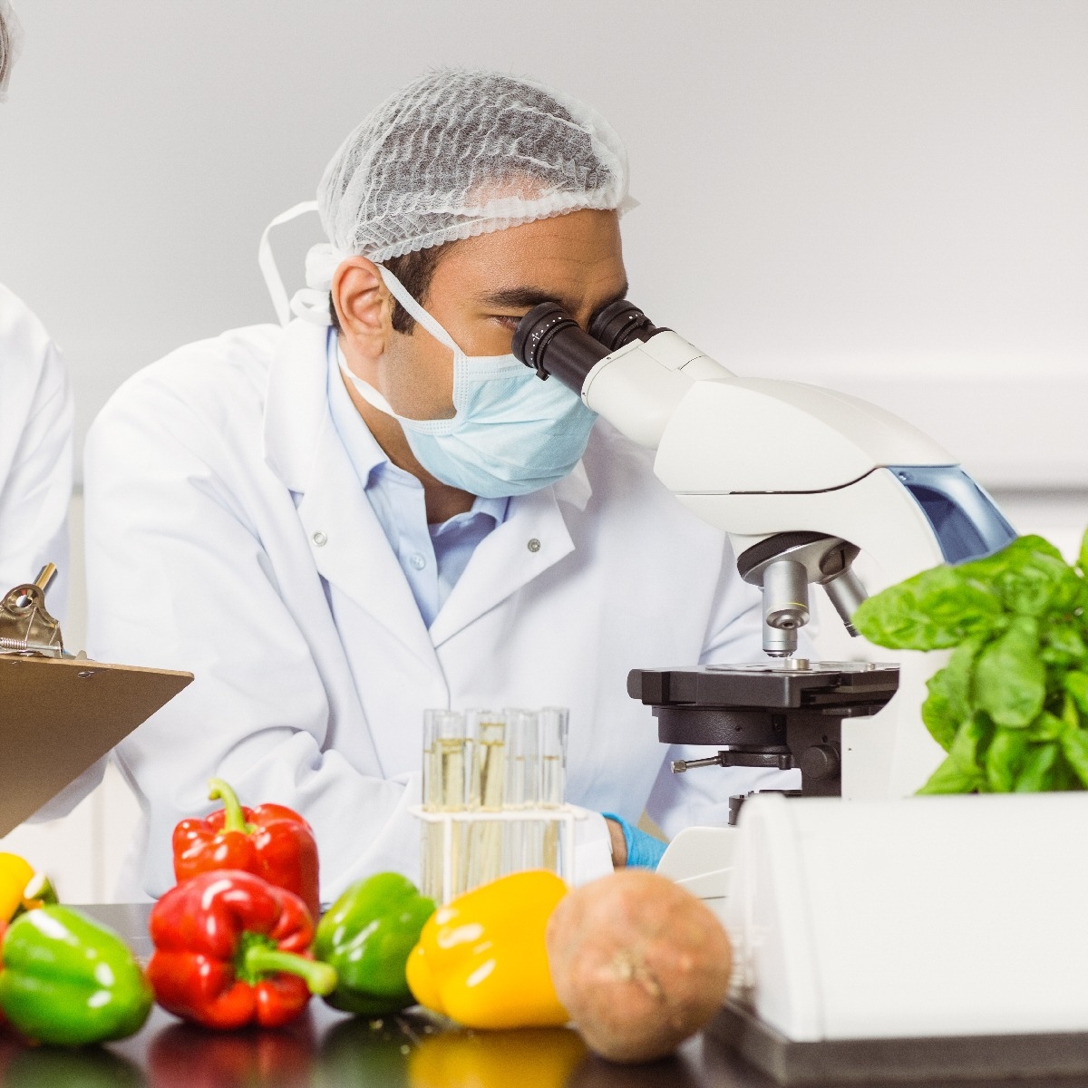 Food Industry